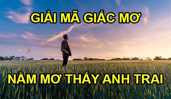 mơ thấy anh trai đánh con gì