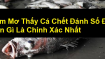 Mơ thấy cá chết đánh con gì? Điềm báo của giấc mơ thấy cá chết
