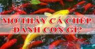 Mơ thấy cá chép đánh con gì đây để trúng lớn