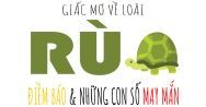 Mơ thấy rùa đánh con gì? Điềm báo giấc mơ thấy rùa