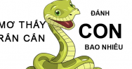 Mơ thấy rắn cắn đánh con gì? Giải mã giấc mơ rắn cắn