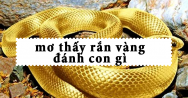 Mơ thấy rắn vàng đánh con gì để trúng lớn