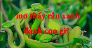 Mơ thấy rắn xanh đánh con gì? Giải nghĩa giấc mơ rắn xanh